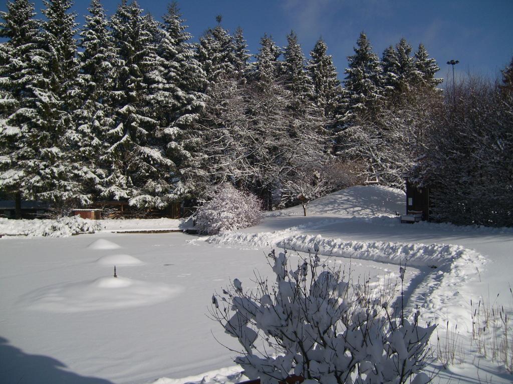 Heidehof Hellenthal Villa Екстериор снимка
