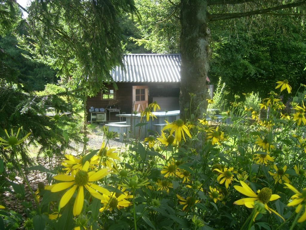 Heidehof Hellenthal Villa Екстериор снимка