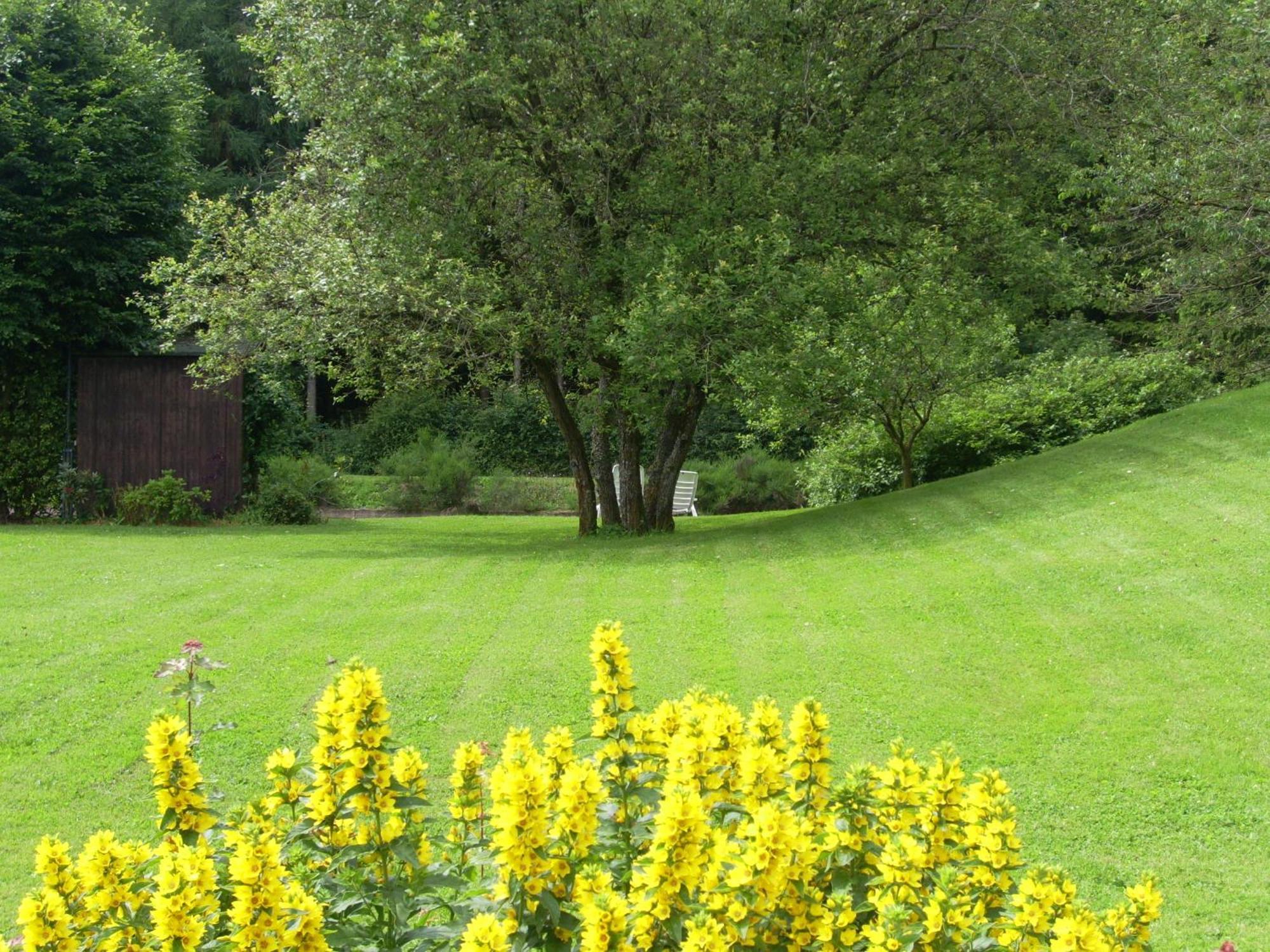 Heidehof Hellenthal Villa Екстериор снимка